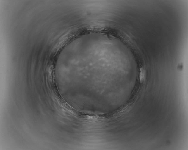 X0000115451059200911181542