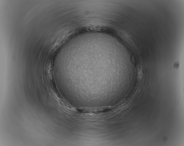 X0000115451060200911181542