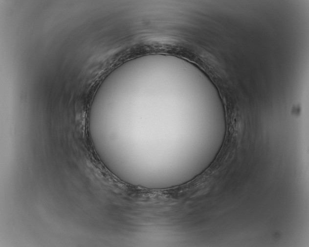 X0000115451061200911181542