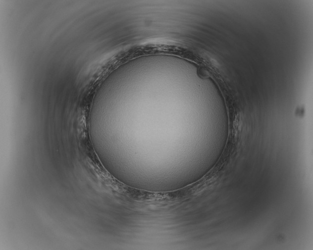 X0000115451062200911181542