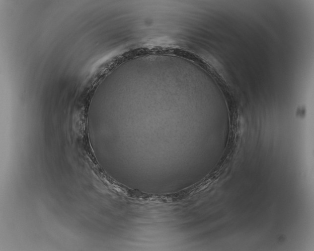 X0000115451063200911181542