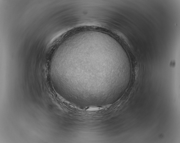 X0000115451064200911181542