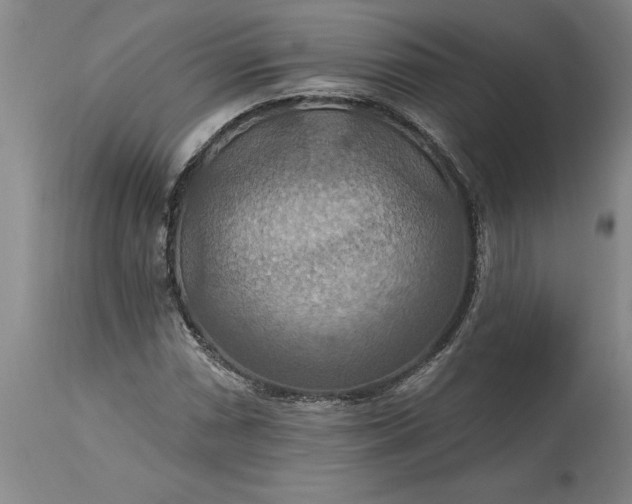 X0000115451066200911181542