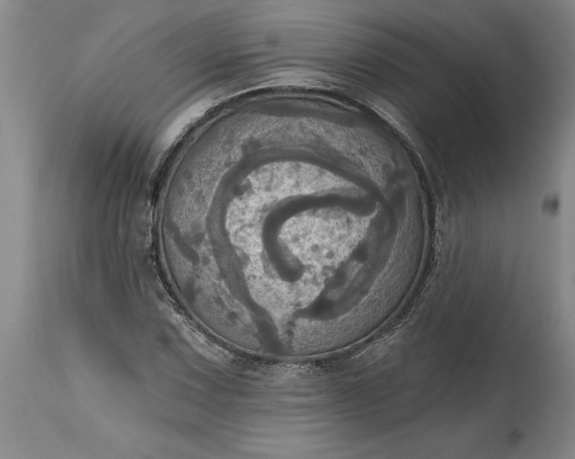 X0000115451067200911181542