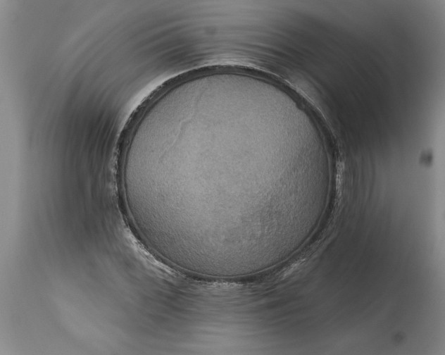 X0000115451068200911181542