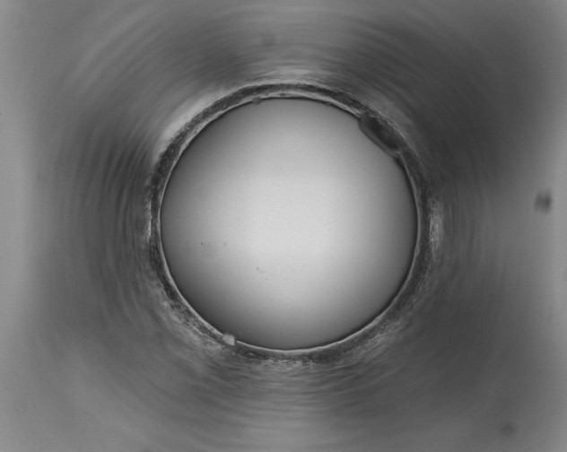 X0000115451069200911181542