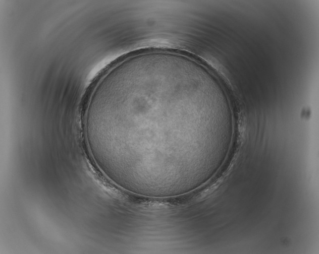 X0000115451070200911181542