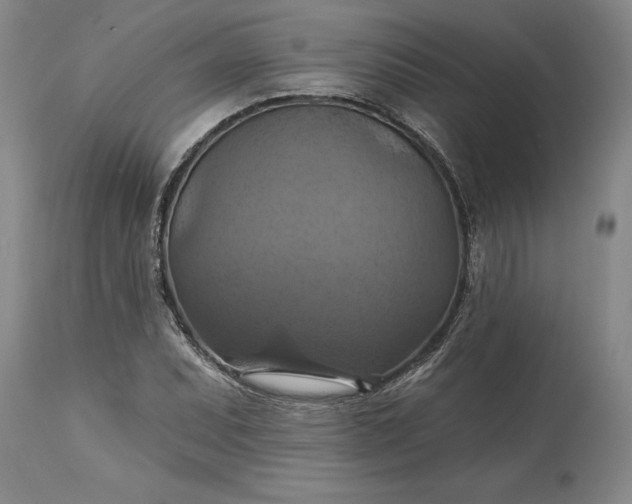 X0000115451071200911181542