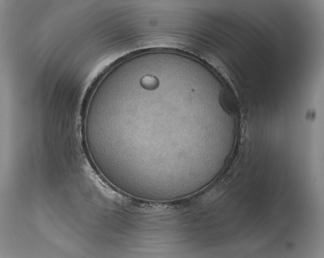 X0000115451072200911181542