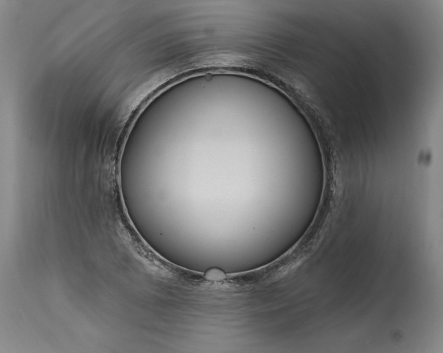 X0000115451073200911181542