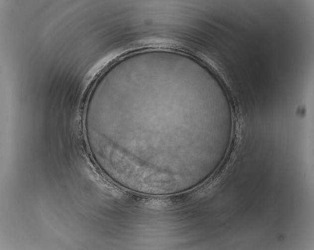 X0000115451074200911181542