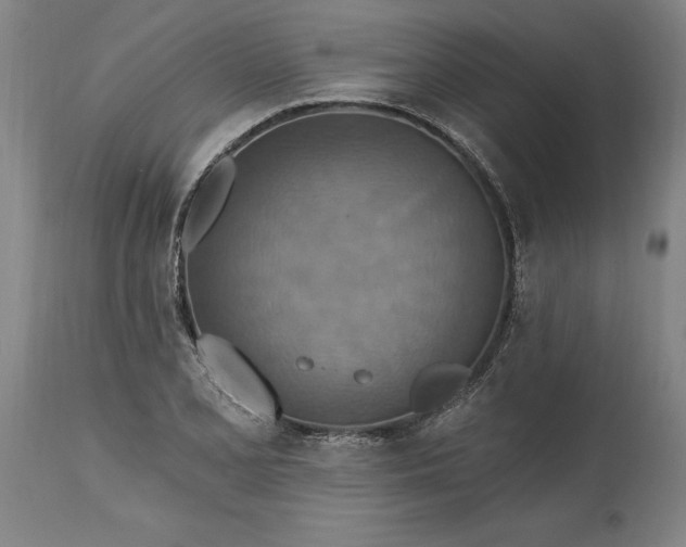 X0000115451077200911181542