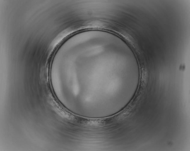 X0000115451078200911181542