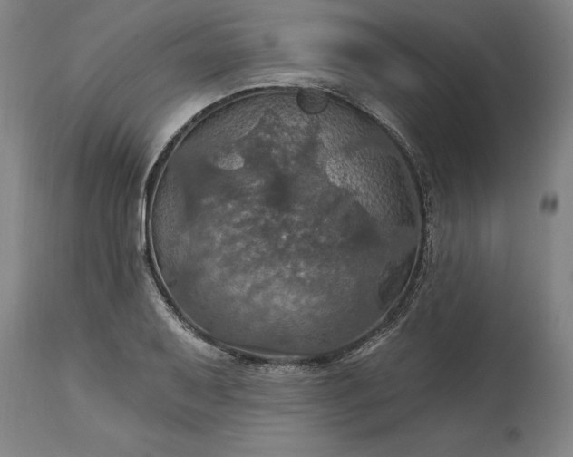 X0000115451079200911181542