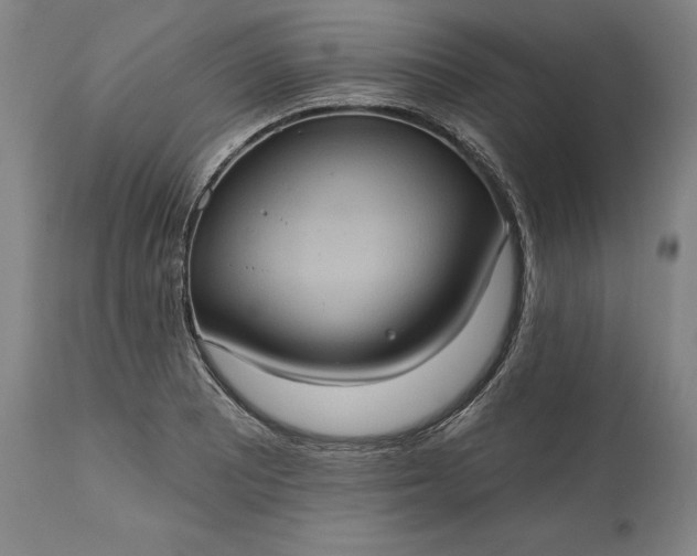 X0000115451081200911181541