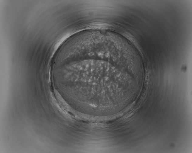 X0000115451083200911181541