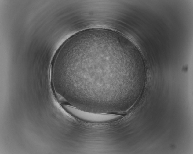 X0000115451084200911181541