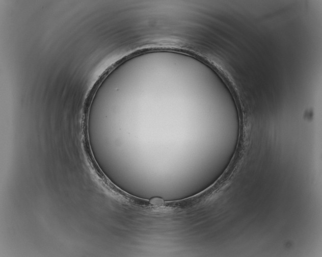 X0000115451085200911181541