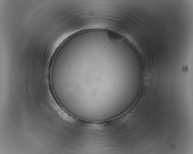 X0000115451086200911181541