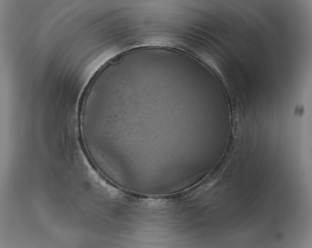 X0000115451087200911181541