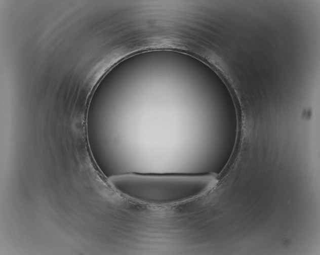 X0000115451089200911181541