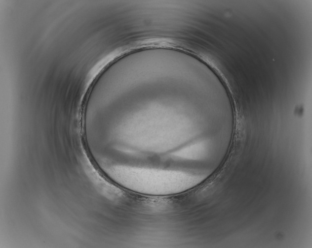 X0000115451090200911181541