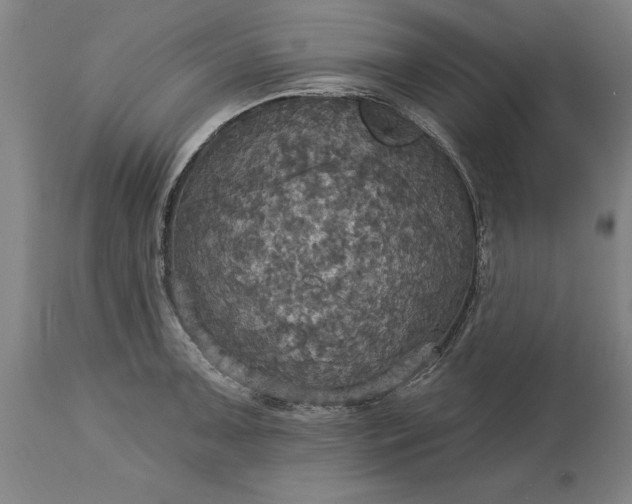 X0000115451091200911181541