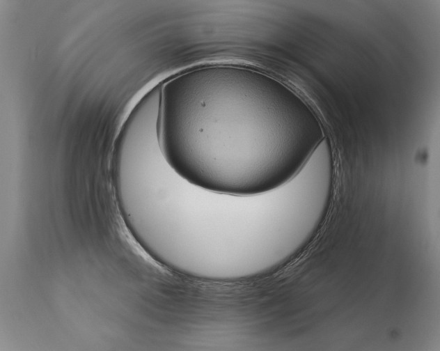 X0000115451092200911181541