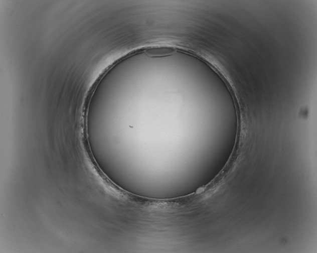 X0000115451093200911181541