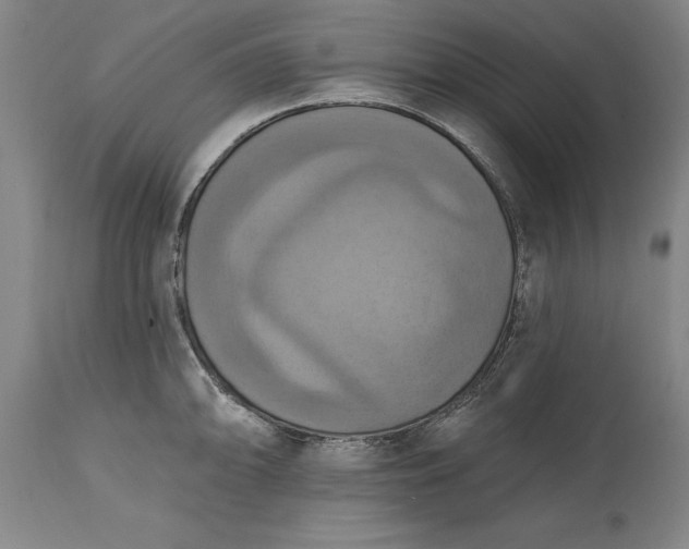 X0000115451094200911181541