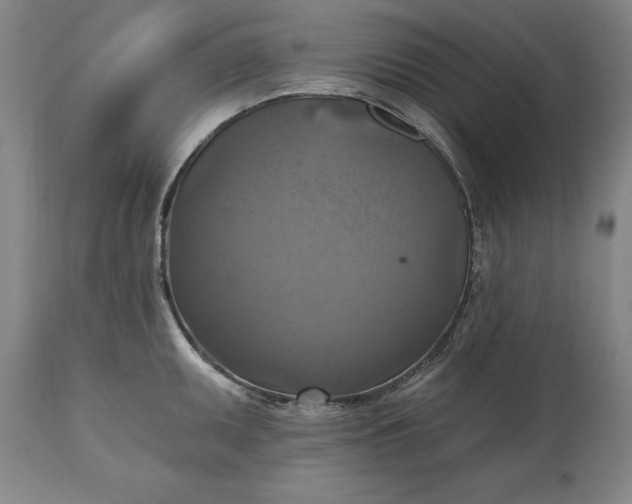 X0000115451095200911181541