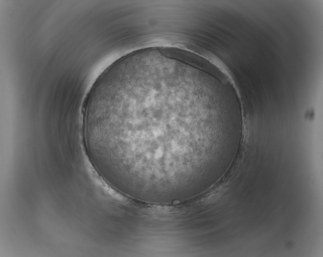 X0000115451096200911181541