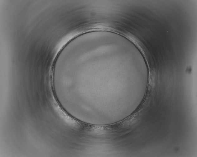 X0000115451098200911181541