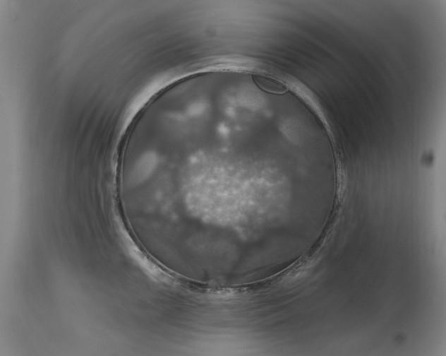 X0000115451099200911181541