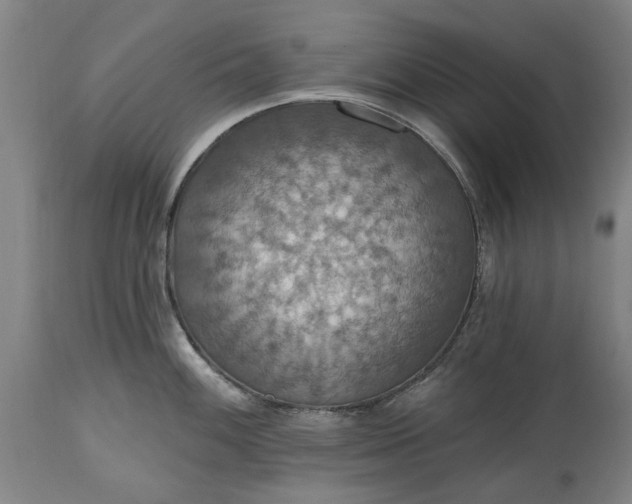 X0000115451100200911181541