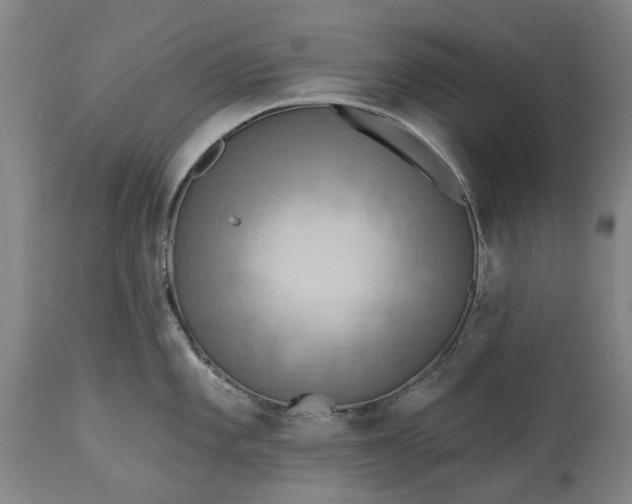 X0000115451101200911181541