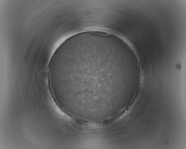 X0000115451102200911181541