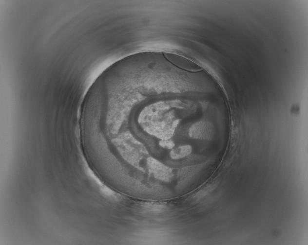 X0000115451103200911181541