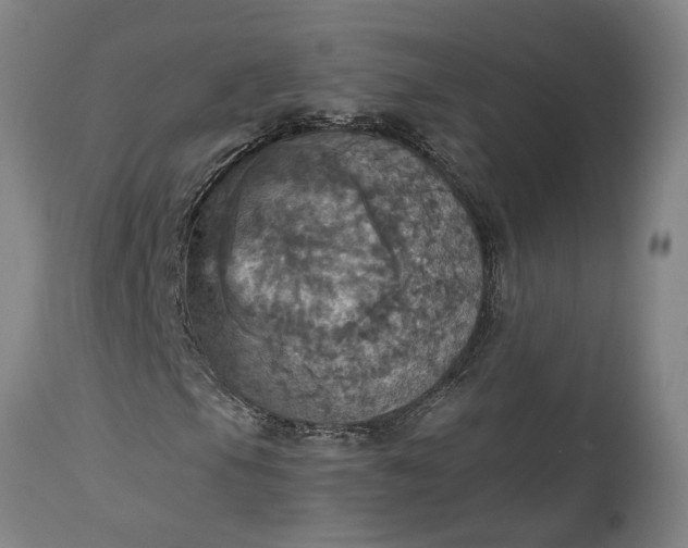 X0000115451105200911181540