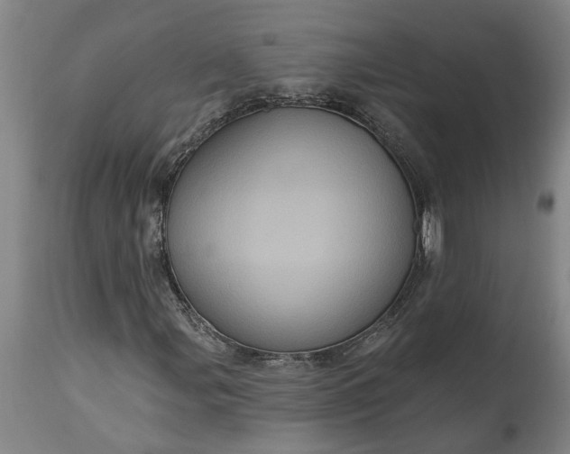 X0000115451107200911181540