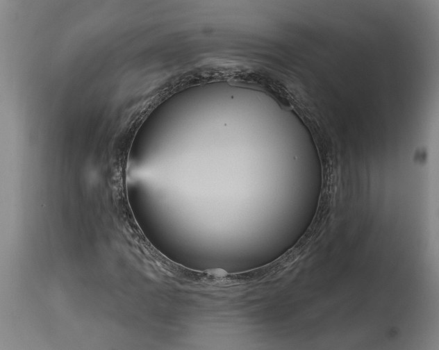 X0000115451109200911181540