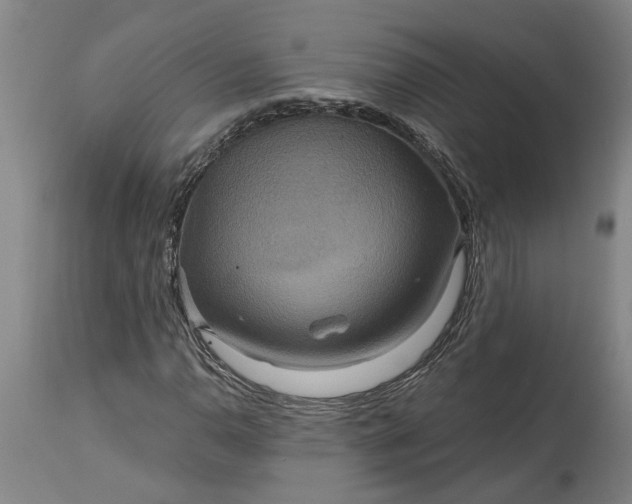 X0000115451110200911181540