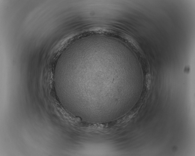 X0000115451111200911181540