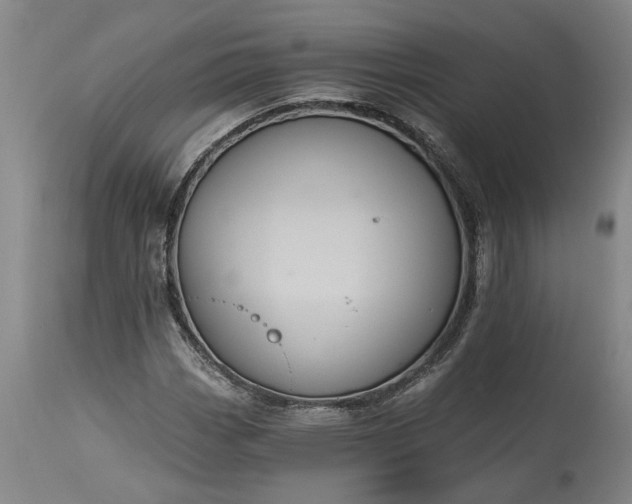 X0000115451113200911181540