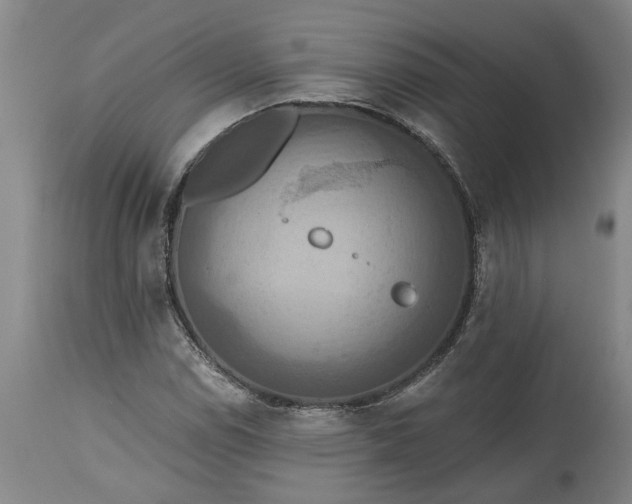 X0000115451114200911181540