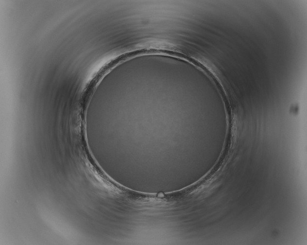 X0000115451115200911181540