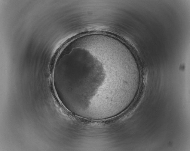 X0000115451117200911181540