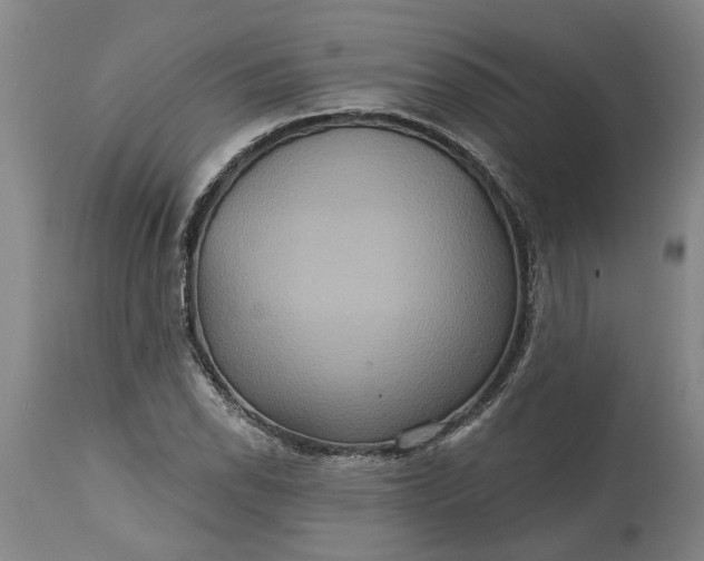 X0000115451118200911181541