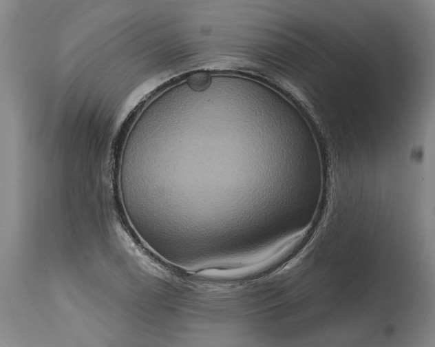 X0000115451122200911181541