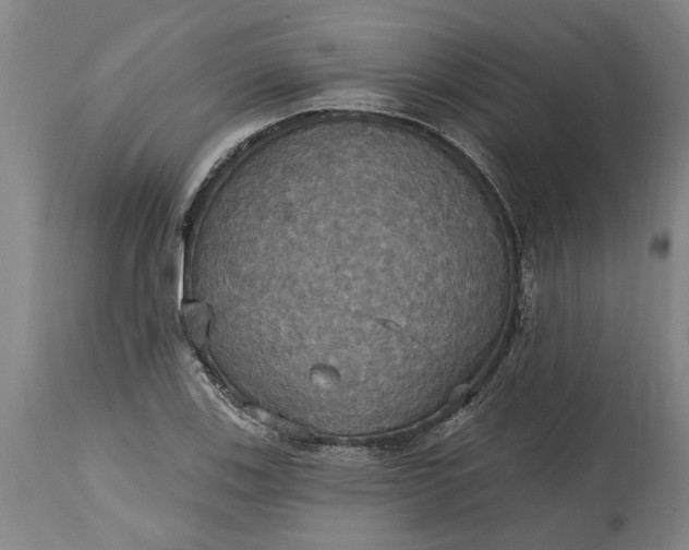 X0000115451123200911181541